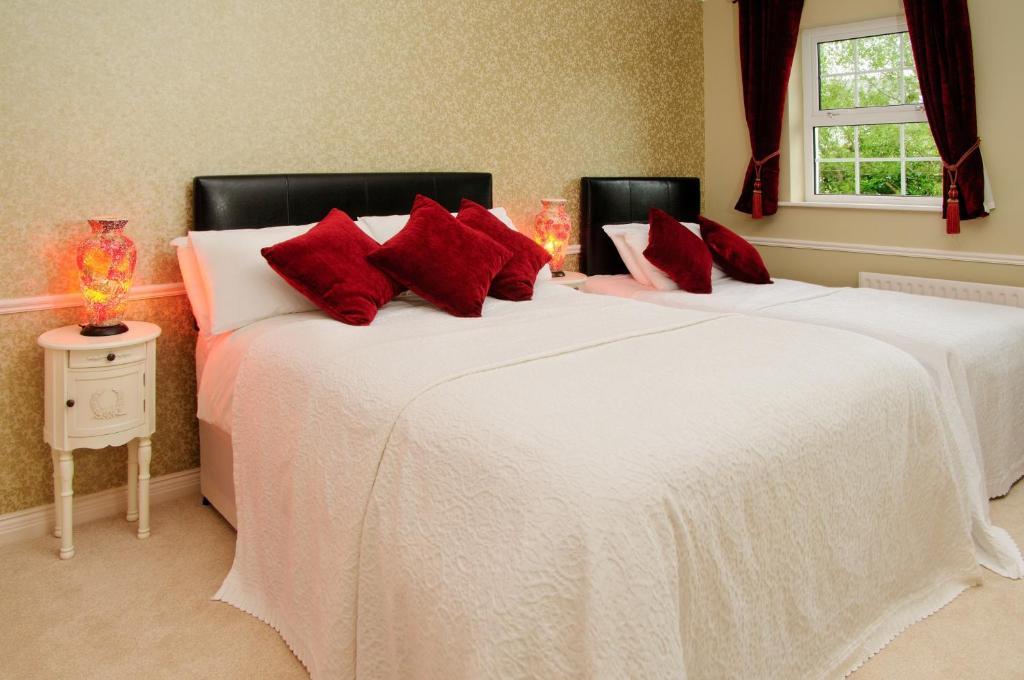 Sika Lodge Guesthouse Killarney Værelse billede